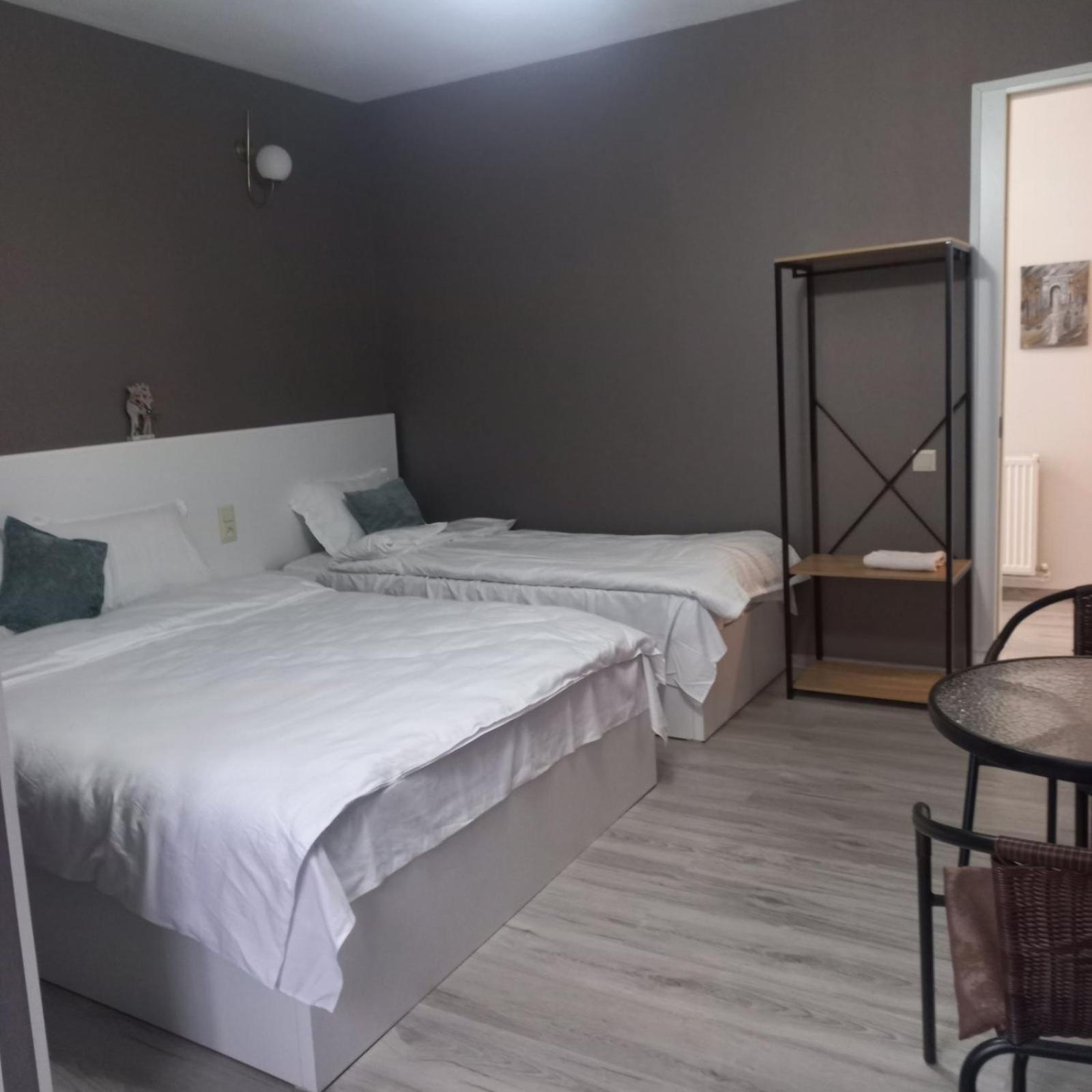 Ira & Vaso'S Guest House Borjomipark Rom bilde